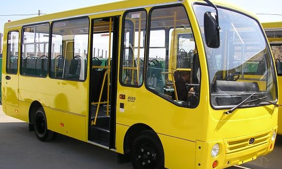 На Бородинский пустили новые автобусы