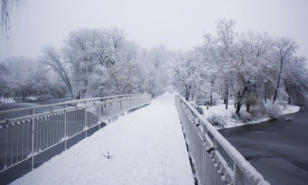 В сети появились удивительные фото запорожских зимних парков