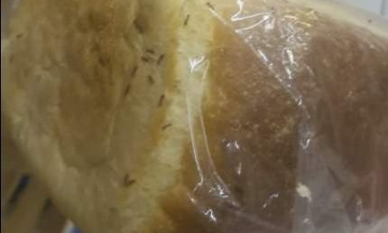 В Запорожье продают акционный хлеб с муравьями