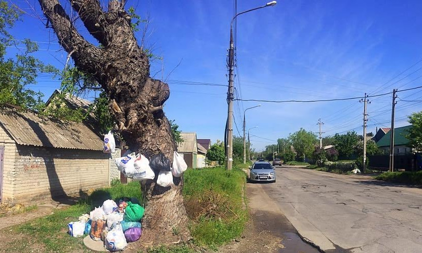Смотрите: В Запорожье появилось мусорное дерево