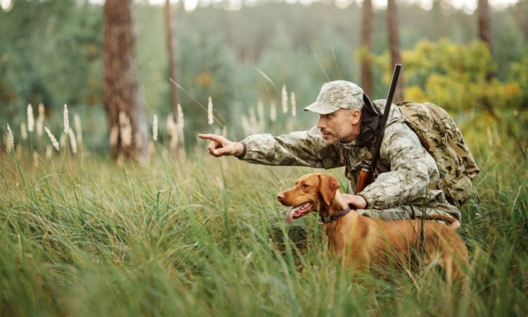 В Запорожской области введут запрет на охоту
