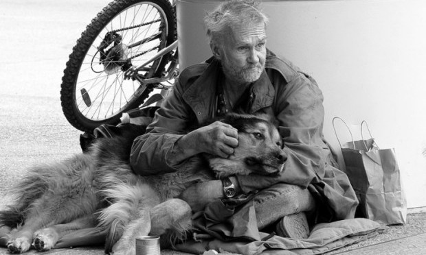 «Отец» бездомных собак снова был замечен на улицах Запорожья (ВИДЕО)