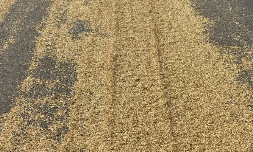 Под Запорожьем грузовое авто рассыпало зерно (ФОТО)