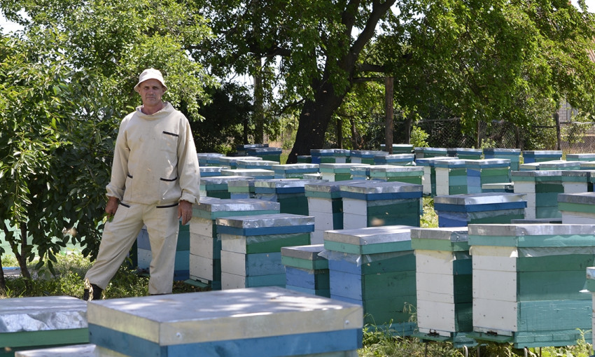 Запорожский пчеловод поставляет мёд в Европу, Канаду и даже Японию (ФОТО)