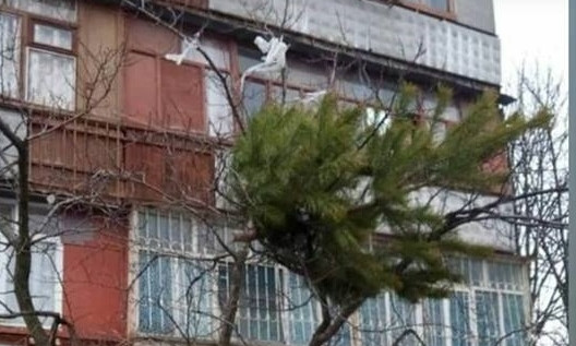 Курьезы: В Запорожье решили необычным способом избавиться от елки (ФОТО)