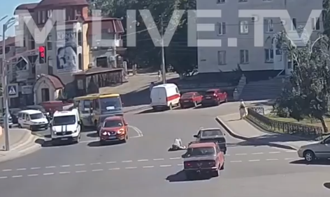 В Запорожской области сбили женщину: В сети появилось видео момента аварии