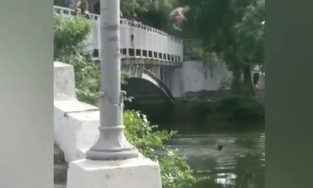 В Дубовке подростки прыгали с моста в водоем (ФОТО)