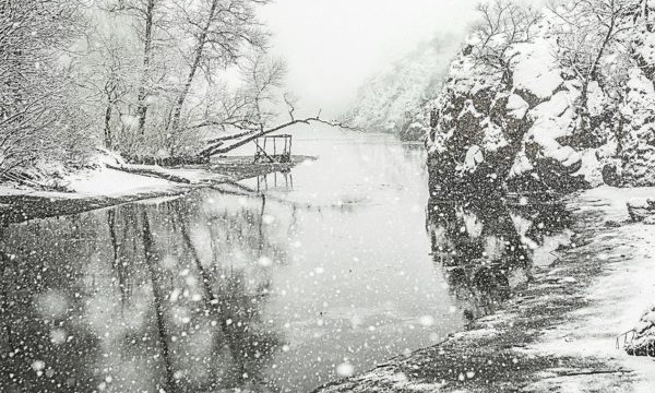 Весну среди зимы показал запорожский фотограф (ФОТО)