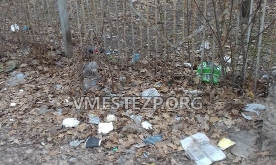 В Днепровском районе лежат трупы собак (ФОТО)