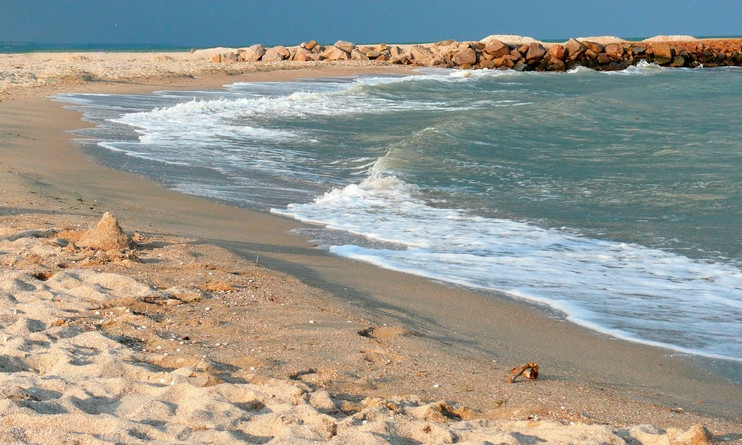 Ученые рассказали, как люди "убивают" Азовское море