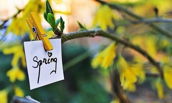 В Запорожье наступила настоящая весна (ФОТО)