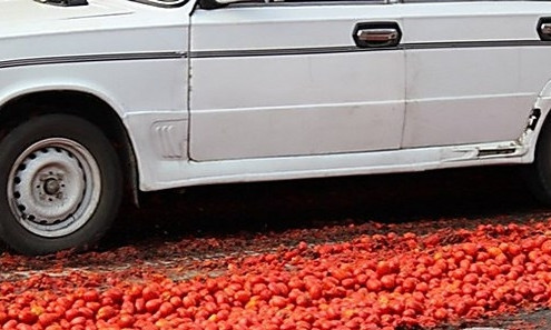 На запорожской трассе грузовик с овощами слетел в кювет