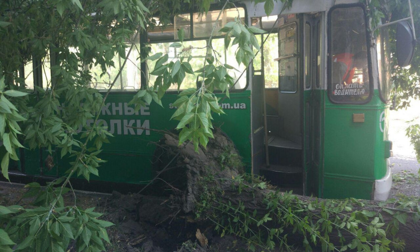 ДТП с пострадавшими на бульваре Шевченко: На троллейбус упало дерево (ФОТО)