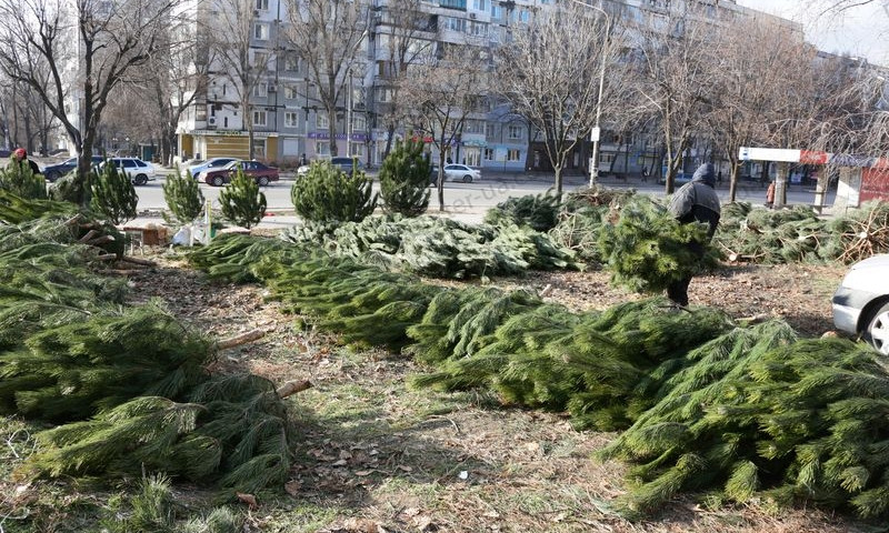 Главный атрибут праздника предлагают на любой кошелек