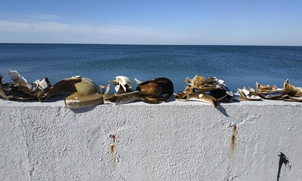 Активисты со дна моря достали много странных предметов (ФОТО)