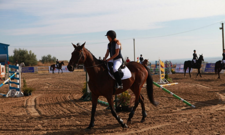 В Запорожском районе развивают конный спорт