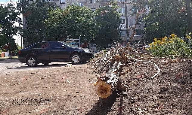 Фотофакт: Женщину привалило деревом