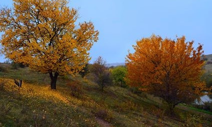 Запорожская осень продолжает поражать своими красками (ФОТО)