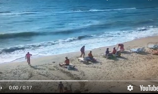 Бархатный сезон: В сети показали пляж Кирилловки (ВИДЕО)
