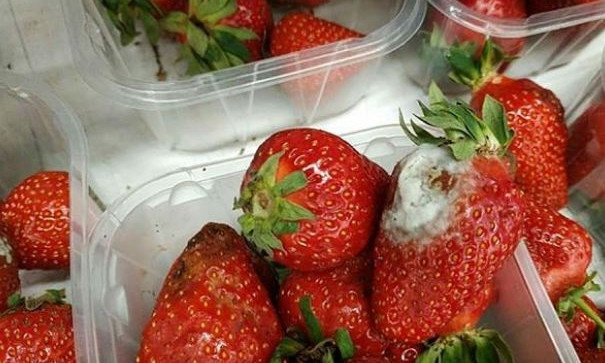 Запорожский супермаркет "порадовал" плесневелой ягодой (ФОТО)