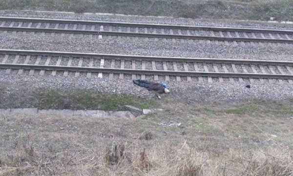 Смотрите: на запорожской железной дороге найден труп