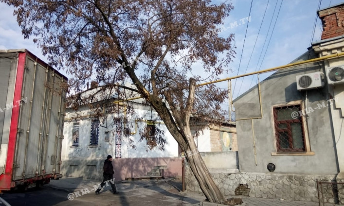 В Запорожской области фура повалила дерево на провода (ФОТО)