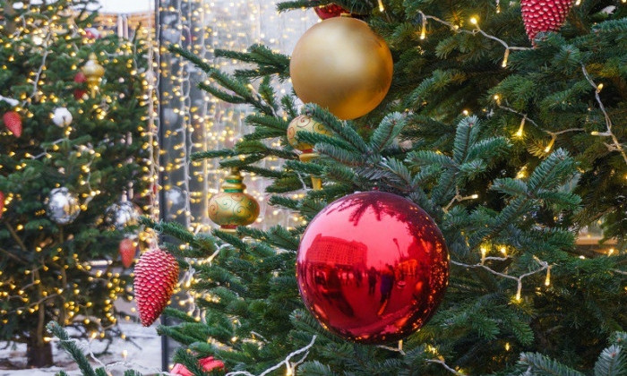 Запорожские чиновники "дали добро" на установку сразу трех новогодних елок