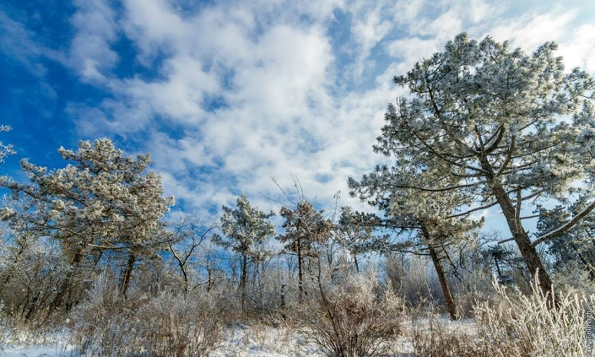 Зимняя красота Хортицы глазами запорожского фотографа (ФОТО)