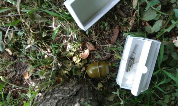 Фотофакт: В Запорожье в кустах лежат гранаты