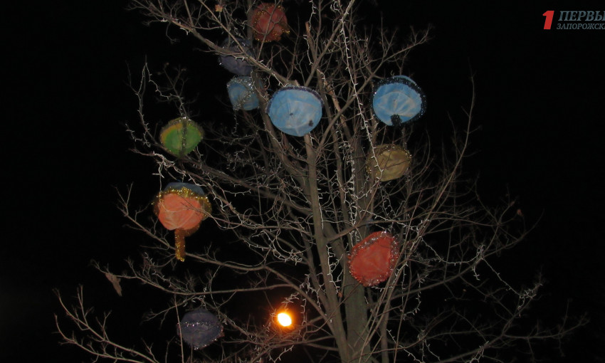 На бульваре Шевченко появится необычная елка (ФОТО)
