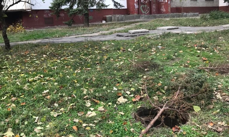 В Запорожье огромный пёс провалился в канализацию (ФОТО)