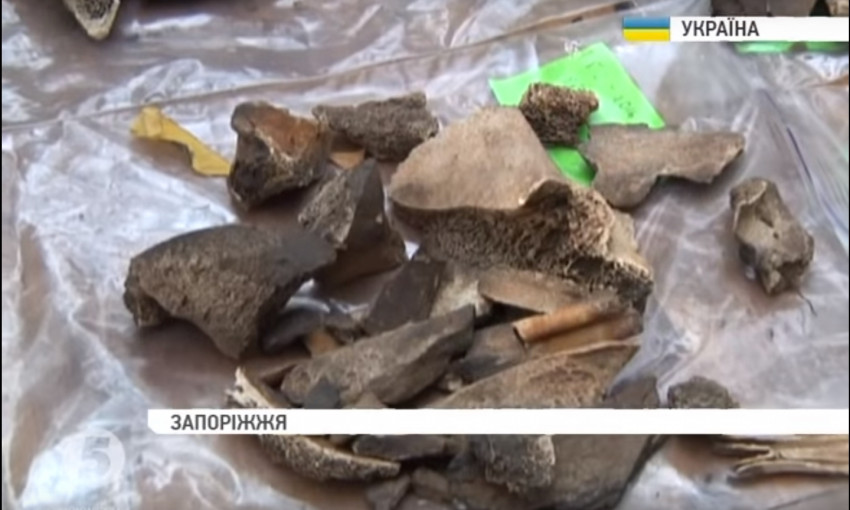 На Хортице археологи нашли артефакты