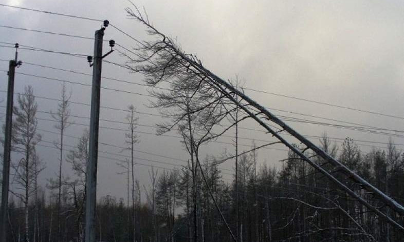 Из-за непогоды в Запорожье оборвалась высоковольтная линия
