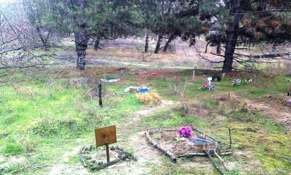В Запорожской области нашли кладбище для животных (ФОТО)