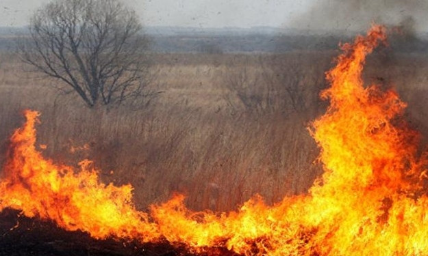 За сутки в Запорожье огонь уничтожил 10 гектаров природы