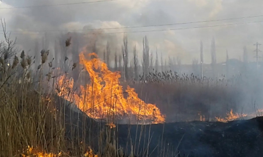 В Запорожье произошел пожар в лесопосадке возле Гребного канала
