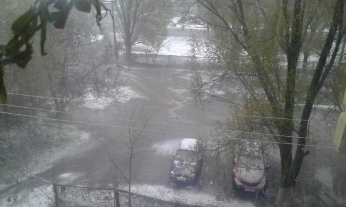 Смотрите: в Запорожской области падает снег
