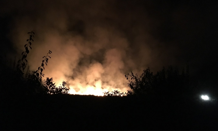 В Запорожском районе, возле частных домов горели поля