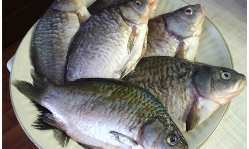 Купленная в Запорожской области жительницей рыба кишела паразитами (ФОТО)