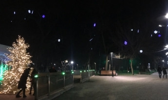 Фотофакт: Новогодние огоньки "засверкали" в Мелитополе 