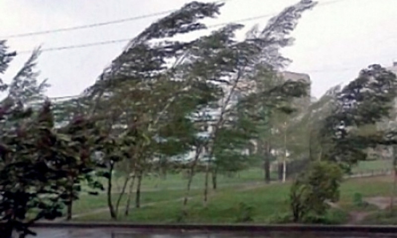 Запорожцы сняли на видео разбушевавшийся ураган (ВИДЕО)