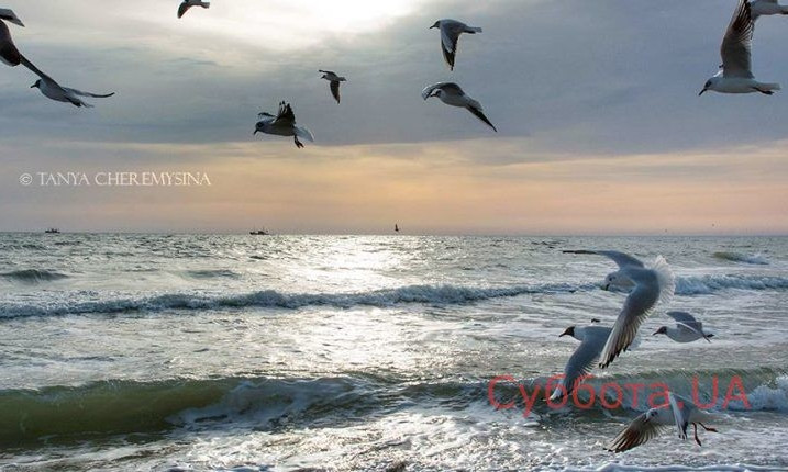 В сети появились прекрасные снимки Азовского моря (ФОТО)