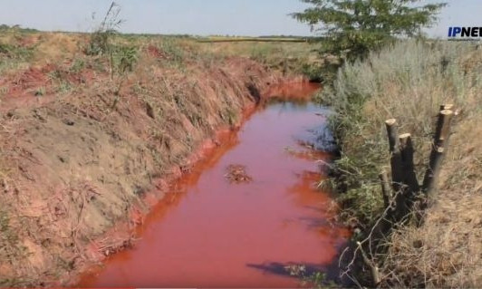 В сети опубликовали видео ядовитой реки