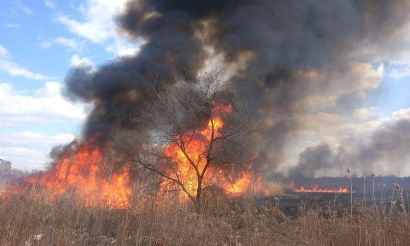 В сети появилось видео вчерашнего масштабного пожара с высоты птичьего полета