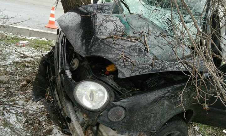 В Запорожье серьезное ДТП: "Тойота" врезалась в дерево (ФОТО)