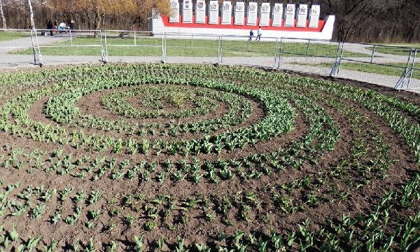 В запорожских парках появляются новые клумбы и цветы