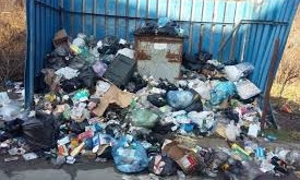 В Бердянске предприниматели мусорят и не платят налоги