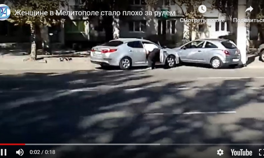 В Запорожской области неуправляемая легковушка попала в ДТП: Водитель потеряла сознание (ВИДЕО)