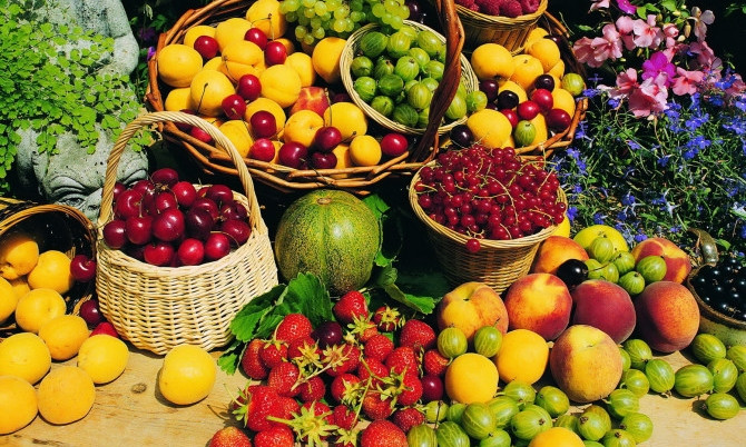 Запорожские фрукты поразили болезни