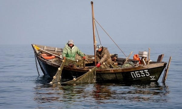 В Запорожской области вступило в силу ограничение на вылов рыбы в Азовском море